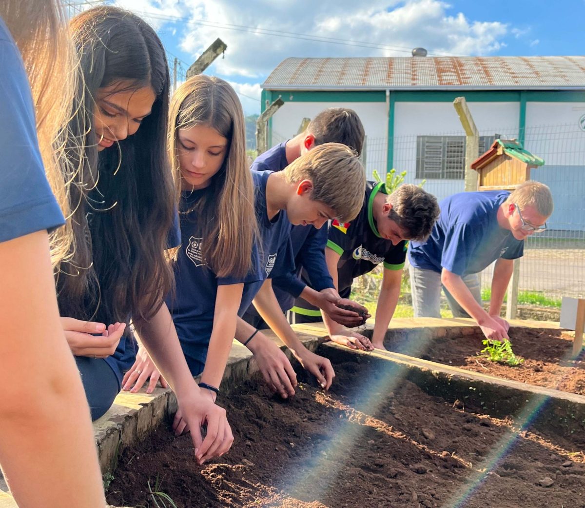Relógio dos Chás transforma educação em bem-estar natural