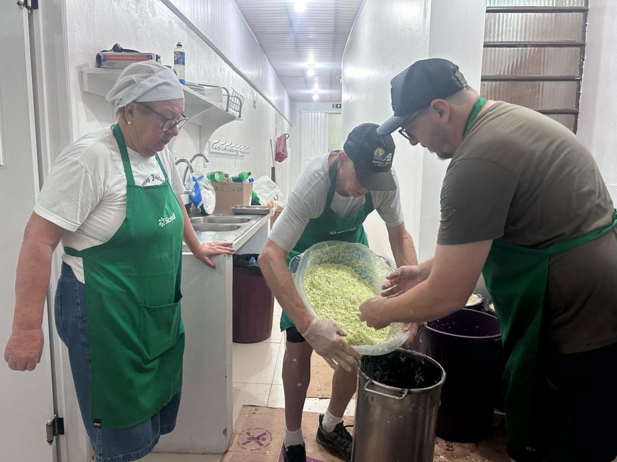 A seis semanas do festival, produção do chucrute é iniciada