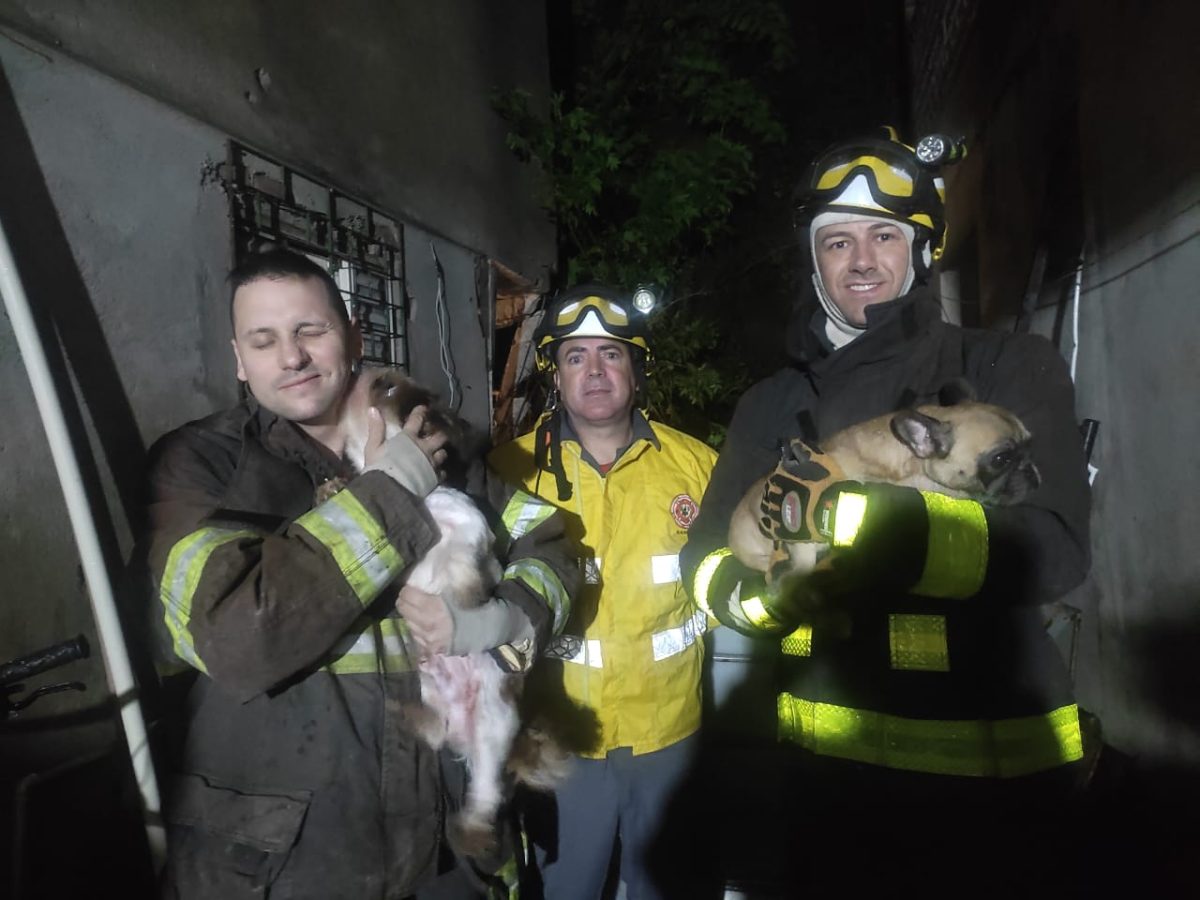 Bombeiros resgatam cães soterrados em Encantado