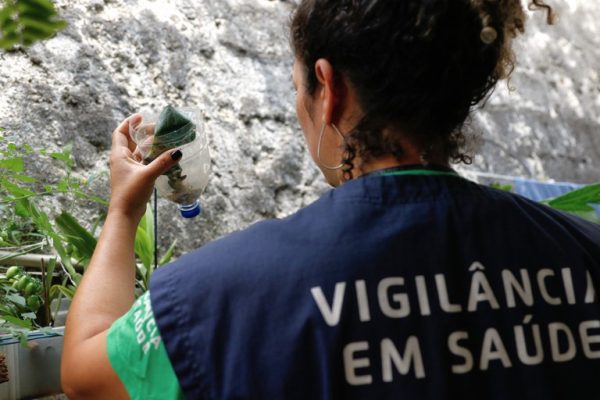 Teutônia decreta situação de emergência por dengue