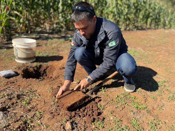 Estudo indica ações para recuperar lavouras