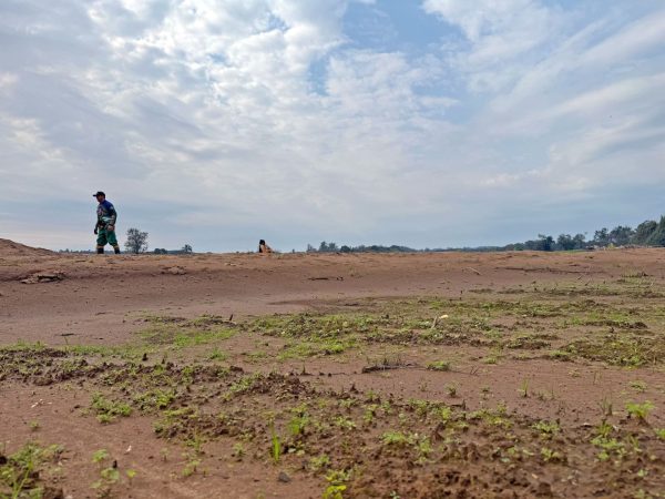 A resiliência que vem do campo
