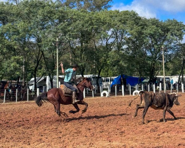 Rodeio Crioulo é atração na Fenachim