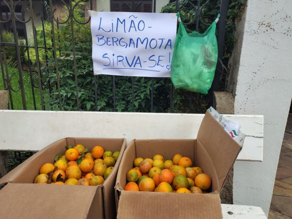 Casal oferece na rua frutas colhidas em casa