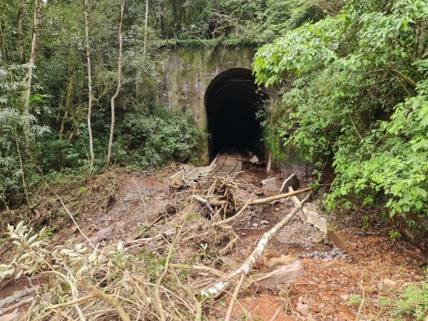 Volta dos passeios depende de aporte para ferrovia