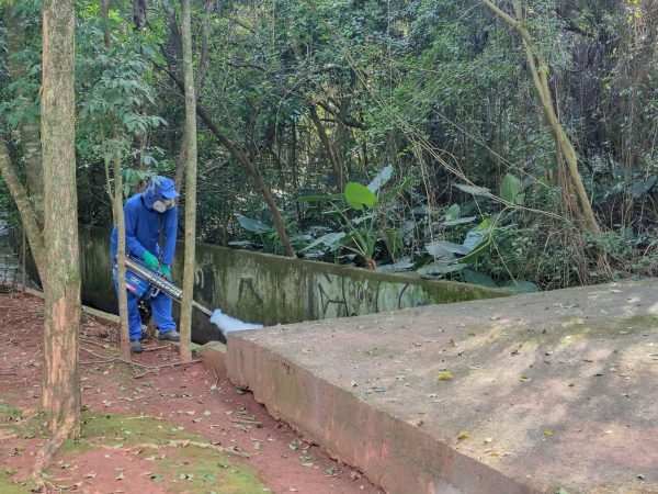 Lajeado aplica “fumacê” para combater mosquito da dengue