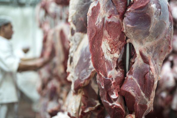 Mercado de proteínas avança nos principais setores