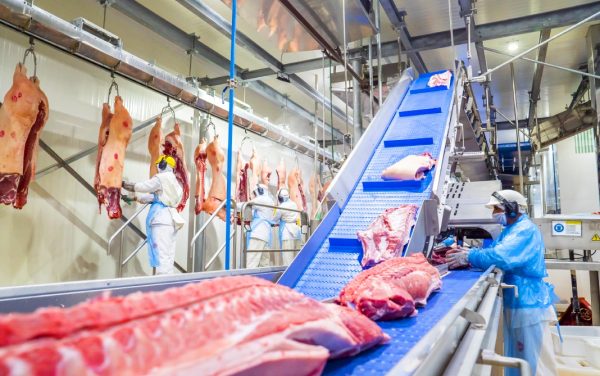 Exportações de carne suína crescem 14,6% em abril