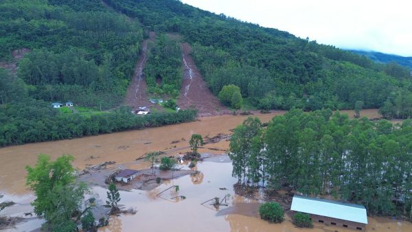 Mata Atlântica e o desmatamento